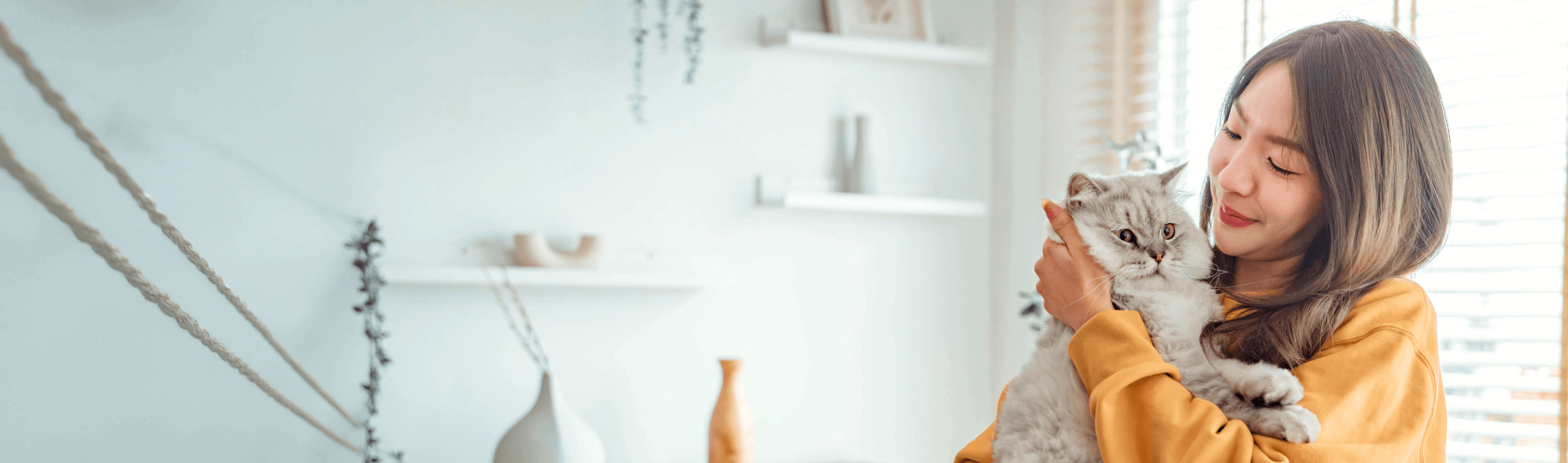 Die besten Katzenkrankenversicherungen im Vergleich