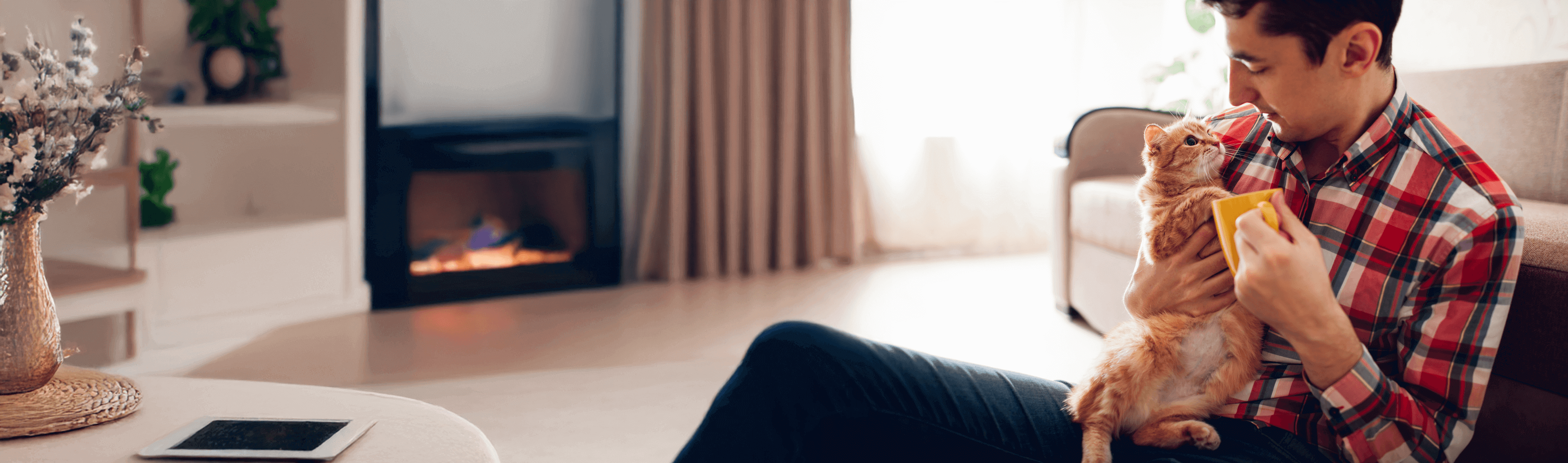 Die besten Katzenversicherungen für Wohnungskatzen