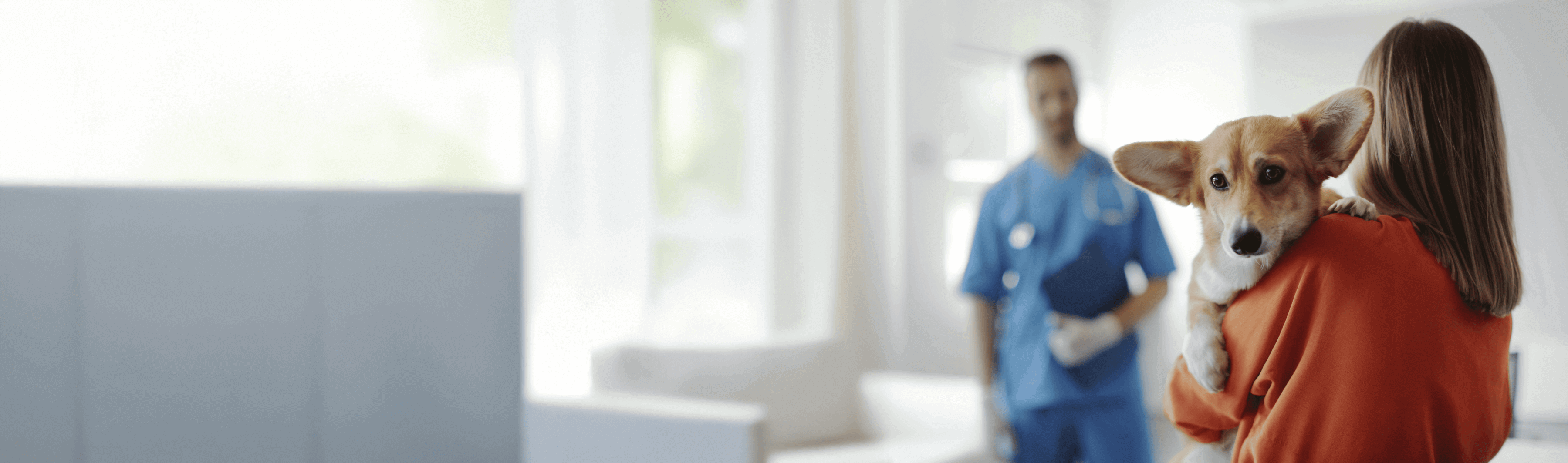 Die 5 besten Hundekrankenversicherungen mit Vollschutz 2026